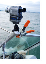 nclamp with sony video camera