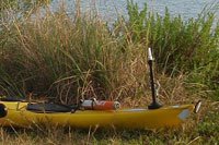 Kayalite Sea Kayak Instructor David Johnston